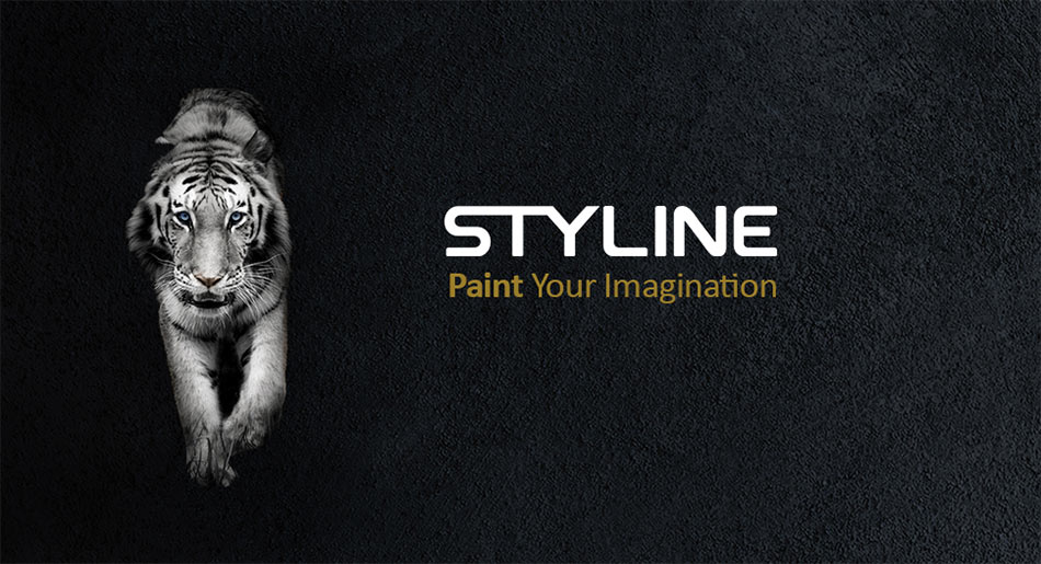 Paint Your Imagination