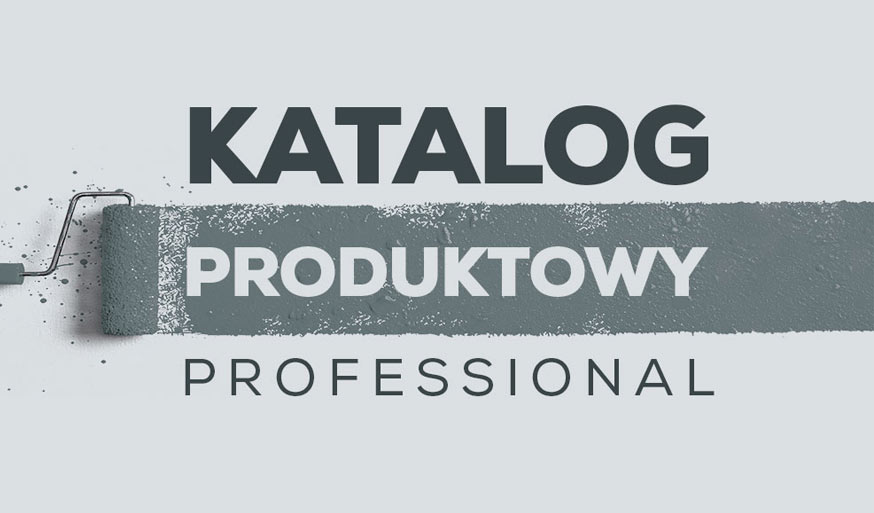Katalog produktowy Professional